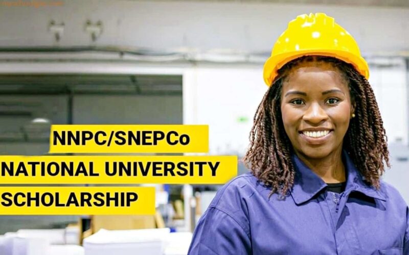 NNPC-SNEPCo National University Scholarship