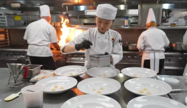Culinary Schools In Utah